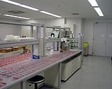 ���{����